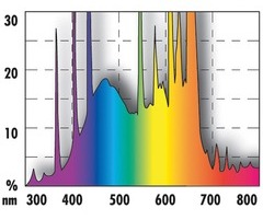 Jbl Solar Ultra Color T5 24W 43.8cm &quot;Fuori Standard&quot;