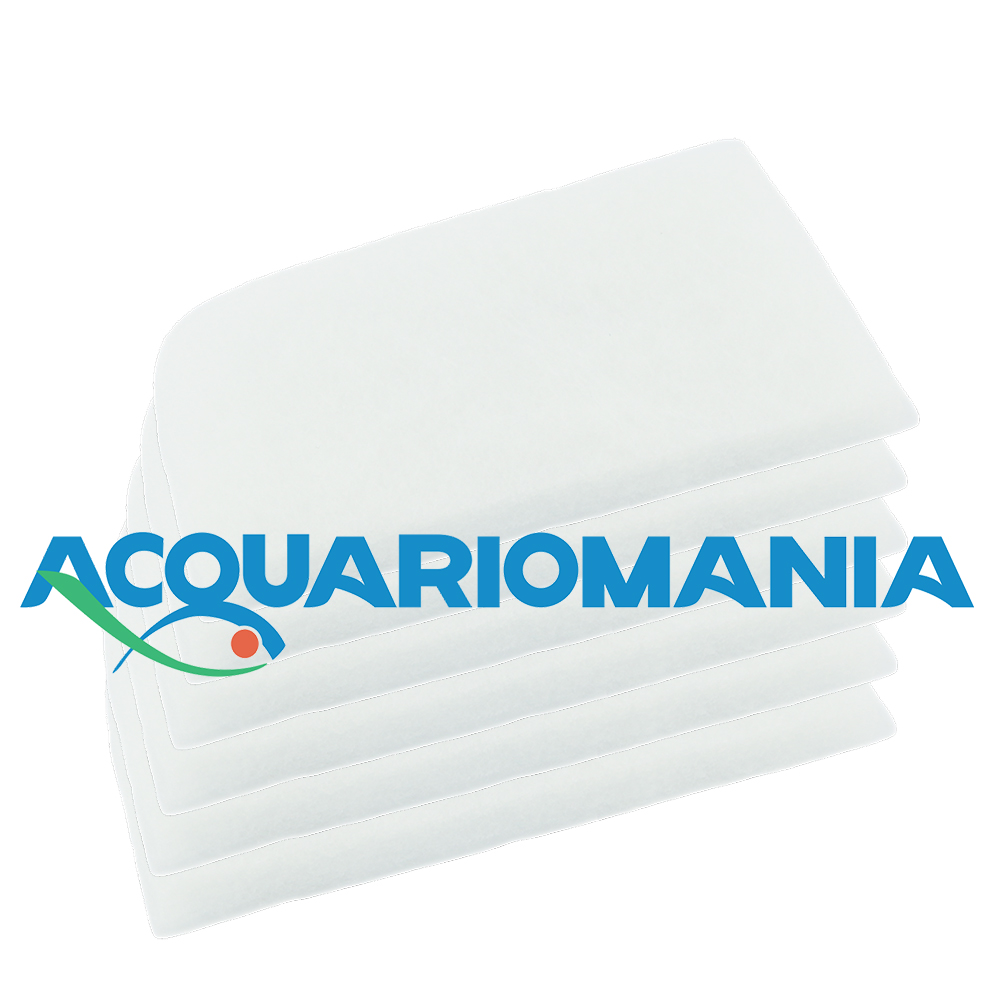 Askoll Ricambio Spugna Fine per Pratiko 300/400 New Generation 6pz