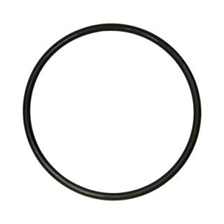 Eden 501/511/522 Oring per tappo filtro esterno riempimento acqua