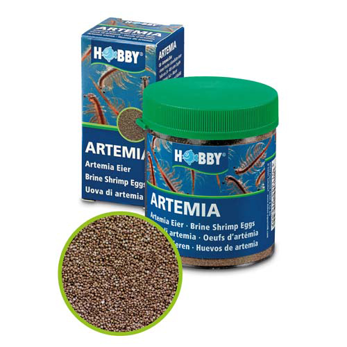 Hobby Artemia Cisti Uova 20ml