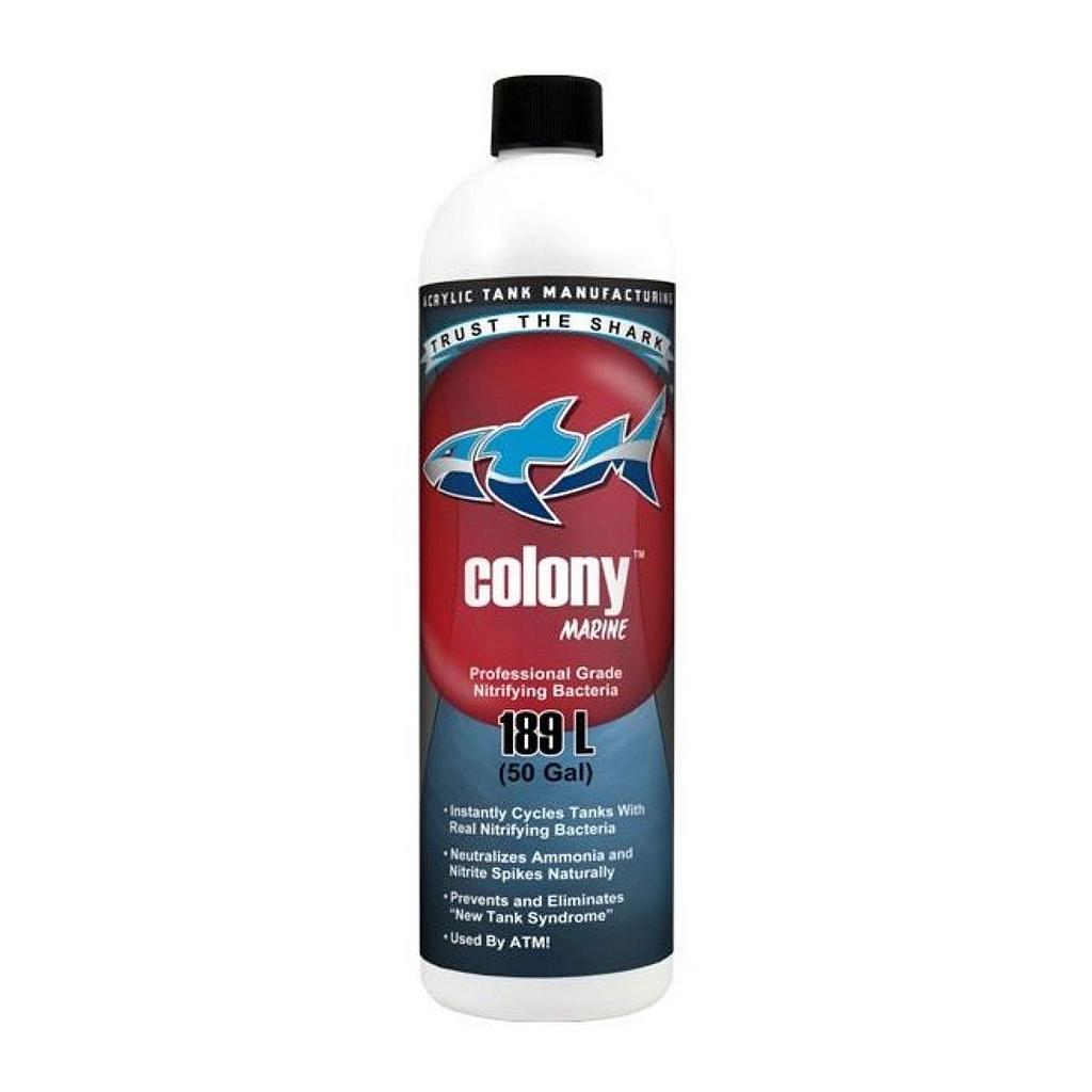 ATM Colony Marine Batteri Nitrificanti per acquari marini 473ml per 189lt