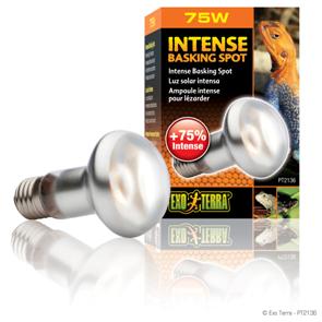Exoterra Intense Basking Spot 75W Luce concentrata ad alta intensità