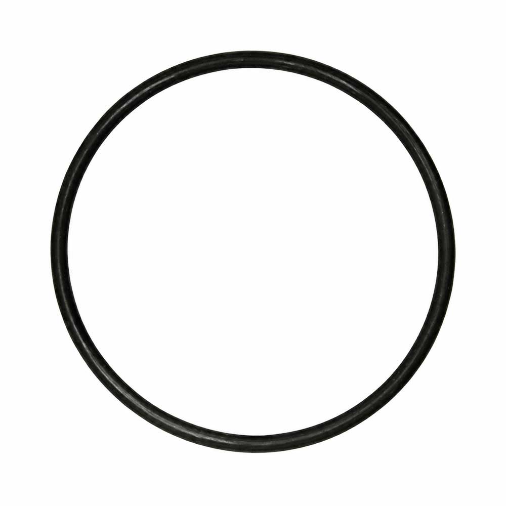Forwater Oring per Bicchieri osmosi da 10"