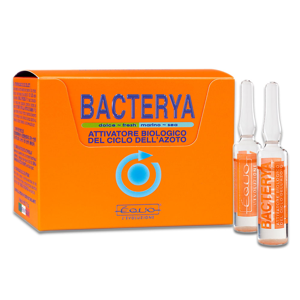 Equo Bacterya 24 Batteri in Fiale per 24000Lt