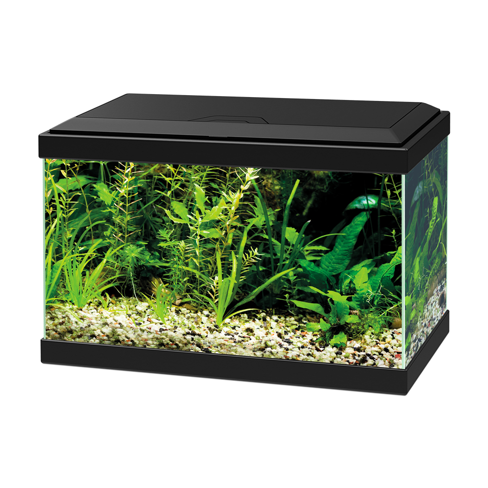 Ciano Aqua 20 Light Led Acquario 17Litri Nero 40x20x26h cm