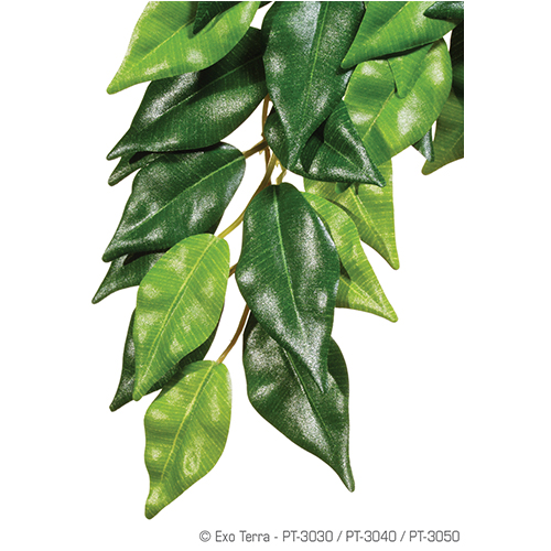 Exoterra Plant Ficus Hanging large