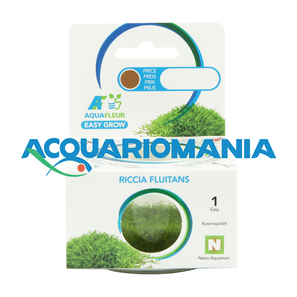 Aquafleur Easy Grow Pianta Riccia Fluitans in Vitro Cup