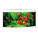 Juwel Acquario Trigon 350 Litri LED Bianco 123x87x65H cm