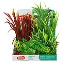 Zolux PlantKit Large 4 Assortimento 7 piantine in plastica