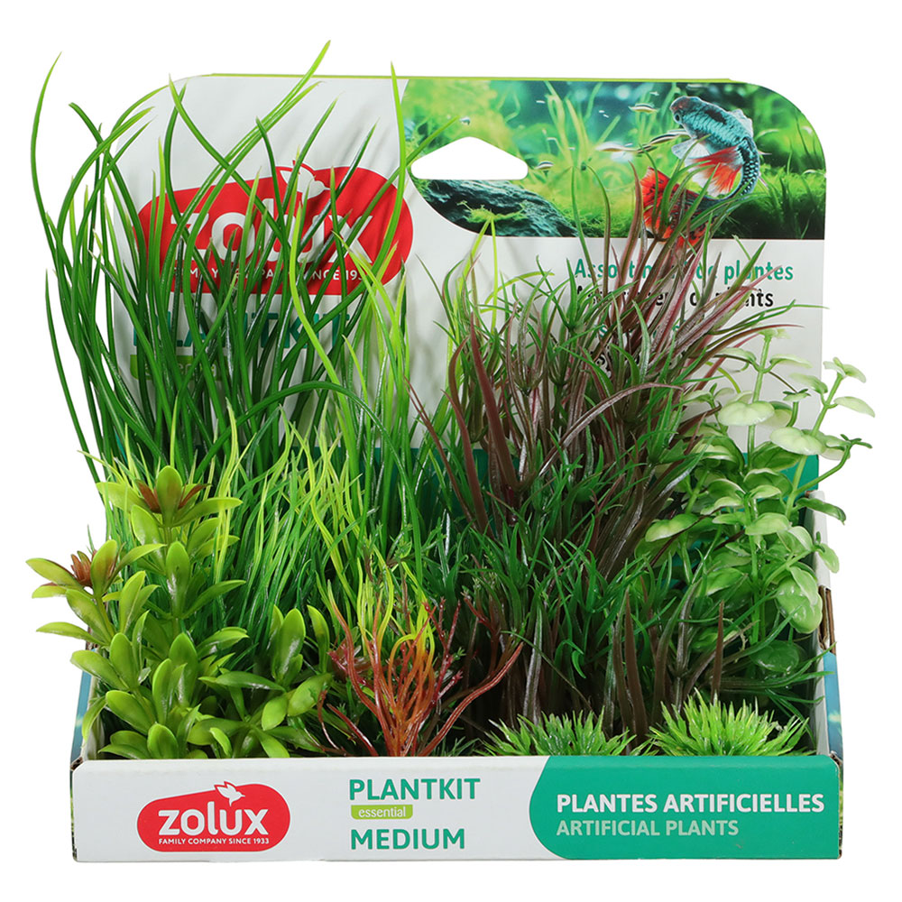 Zolux PlantKit Medium 4 Assortimento 6 piantine in plastica