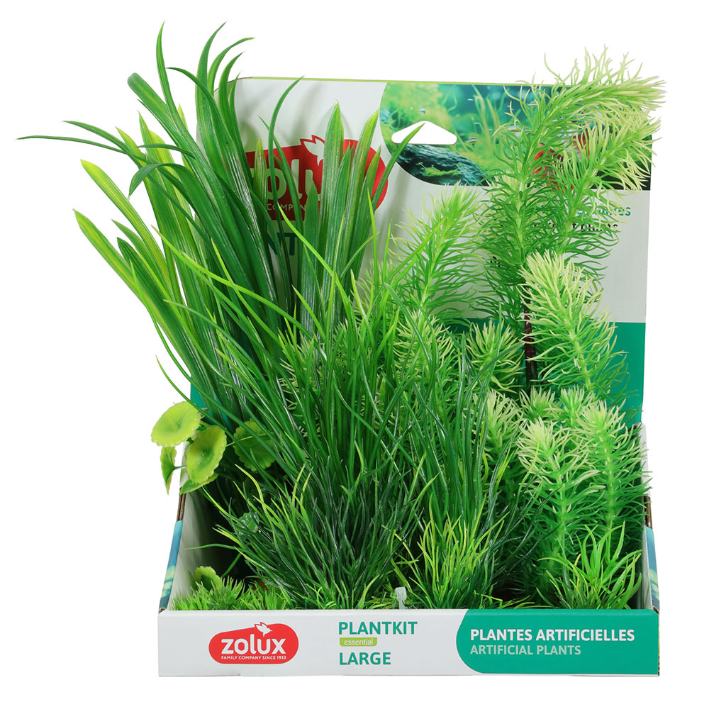 Zolux PlantKit Large 3 Assortimento 7 piantine in plastica