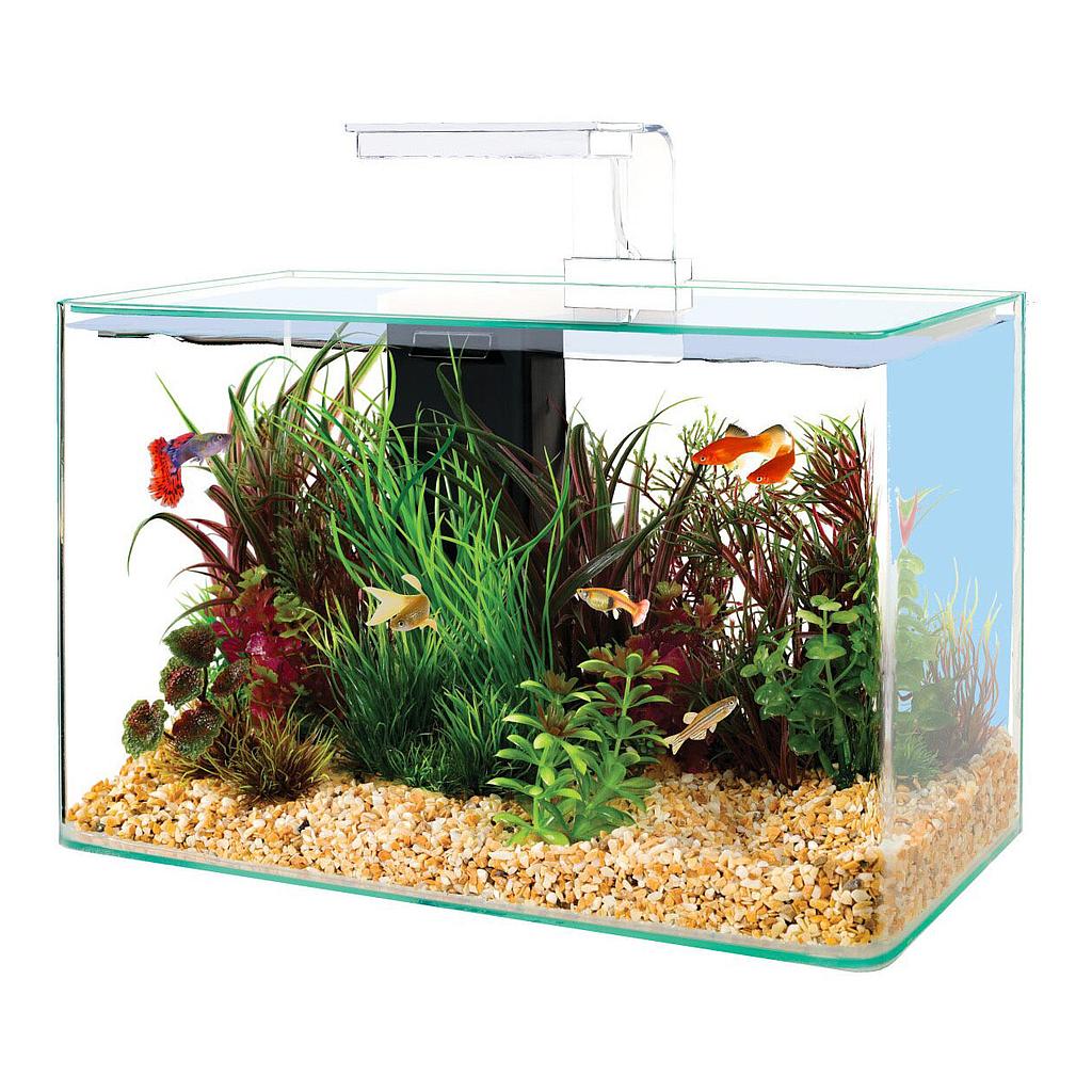Zolux Acquario Aqua Clear 40 Bianco 40x20x25h cm 17 Litri