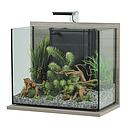 Zolux Acquario Idro 50 Zebrano Grigio 50x25x40cm 50 litri