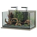 Zolux Acquario Idro 60 Zebrano Grigio 63x35x41,5cm 60 litri