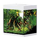 Oase Acquario StyleLine 85 Bianco 50x36x42h cm 75 litri