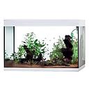 Askoll Acquario Pure LED XL HC High Cube White 76x36x57h cm 130Lt