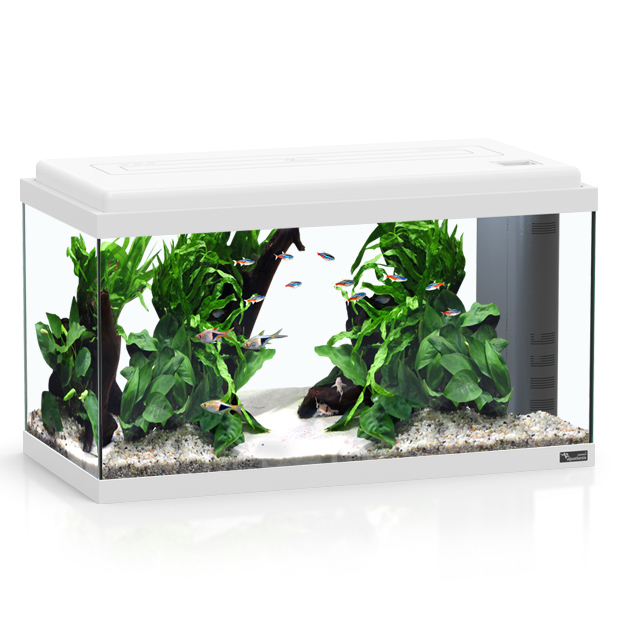 Aquatlantis Aqua 60 Led Bio Acquario 48l Bianco