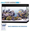 Askoll Acquario Pure Marine XL HC Nero con Sale OMAGGIO 76x36x57h cm 130Lt
