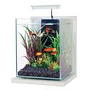 Zolux Jalaya 2 Acquario Ceruse bianco 10 litri