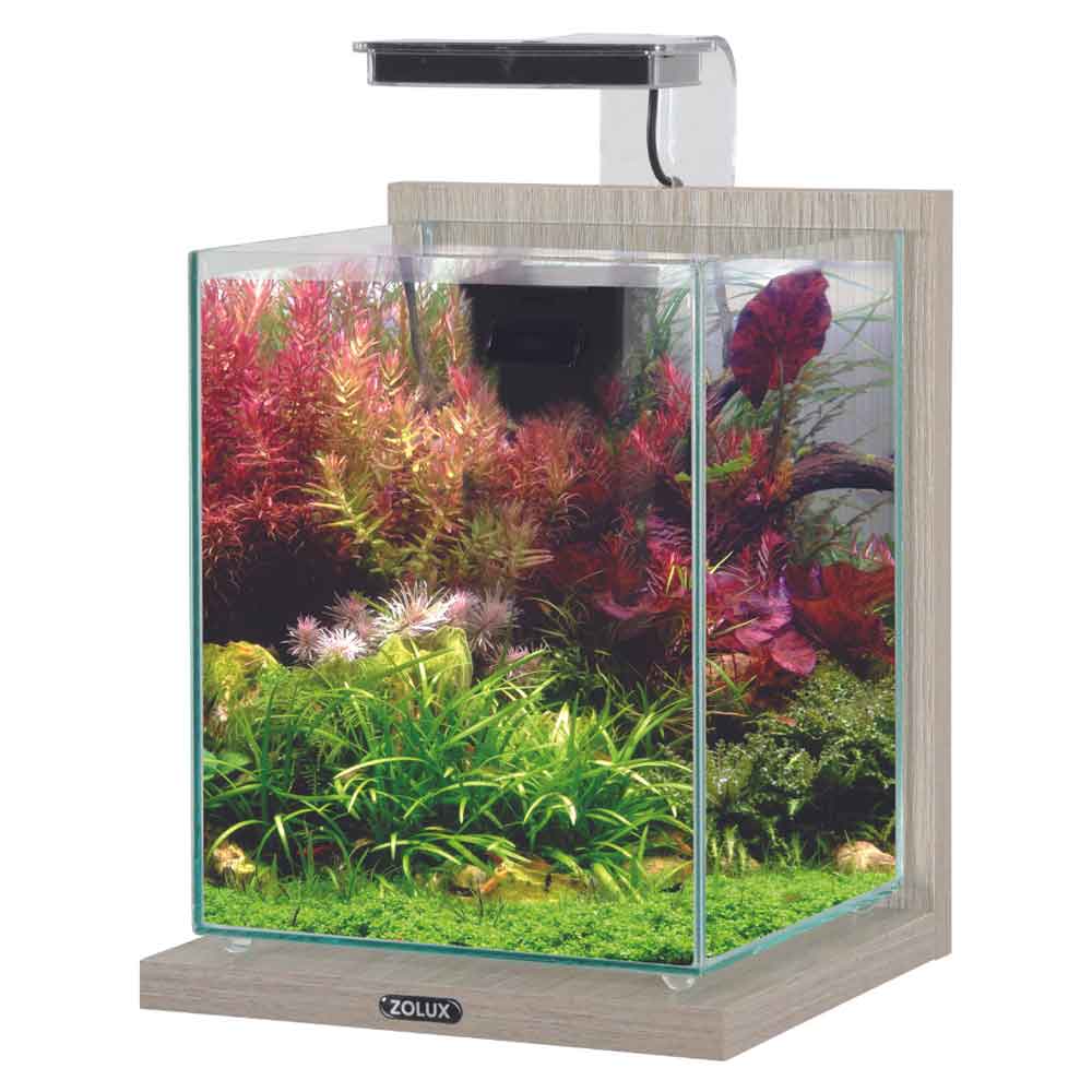 Zolux Jalaya 2 Acquario Zebrano grigio 10 litri