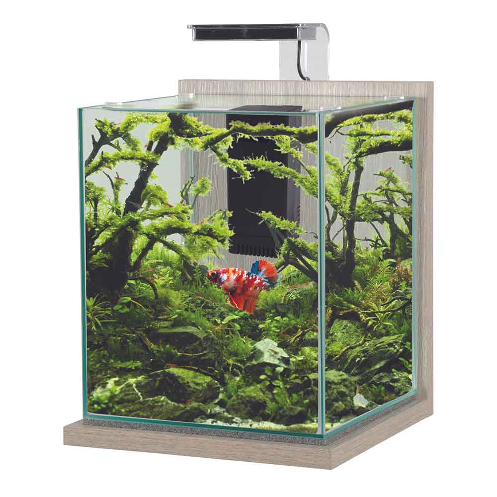 Zolux Jalaya XL Acquario Zebrano grigio 18,7 litri