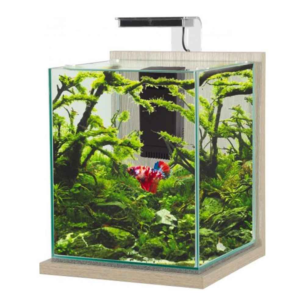Zolux Jalaya XXL Acquario Zebrano grigio 31,5 litri