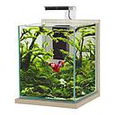 Zolux Jalaya XXL Acquario Zebrano grigio 31,5 litri