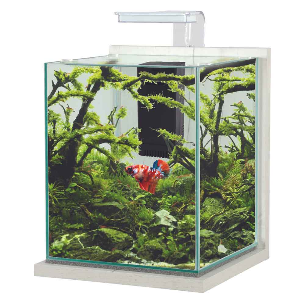 Zolux Jalaya XL Acquario Ceruse bianco 18,7 litri
