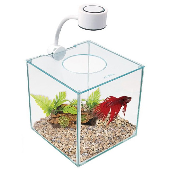 Askoll Marina Cubus Betta Kit Acquario con illuminazione a Led 3.4 litri