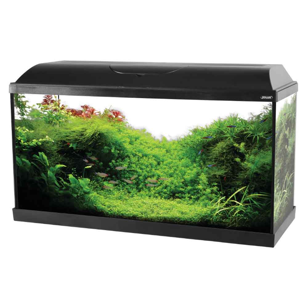 Zolux Acquario Iseo 80 Led Nero 84 litri