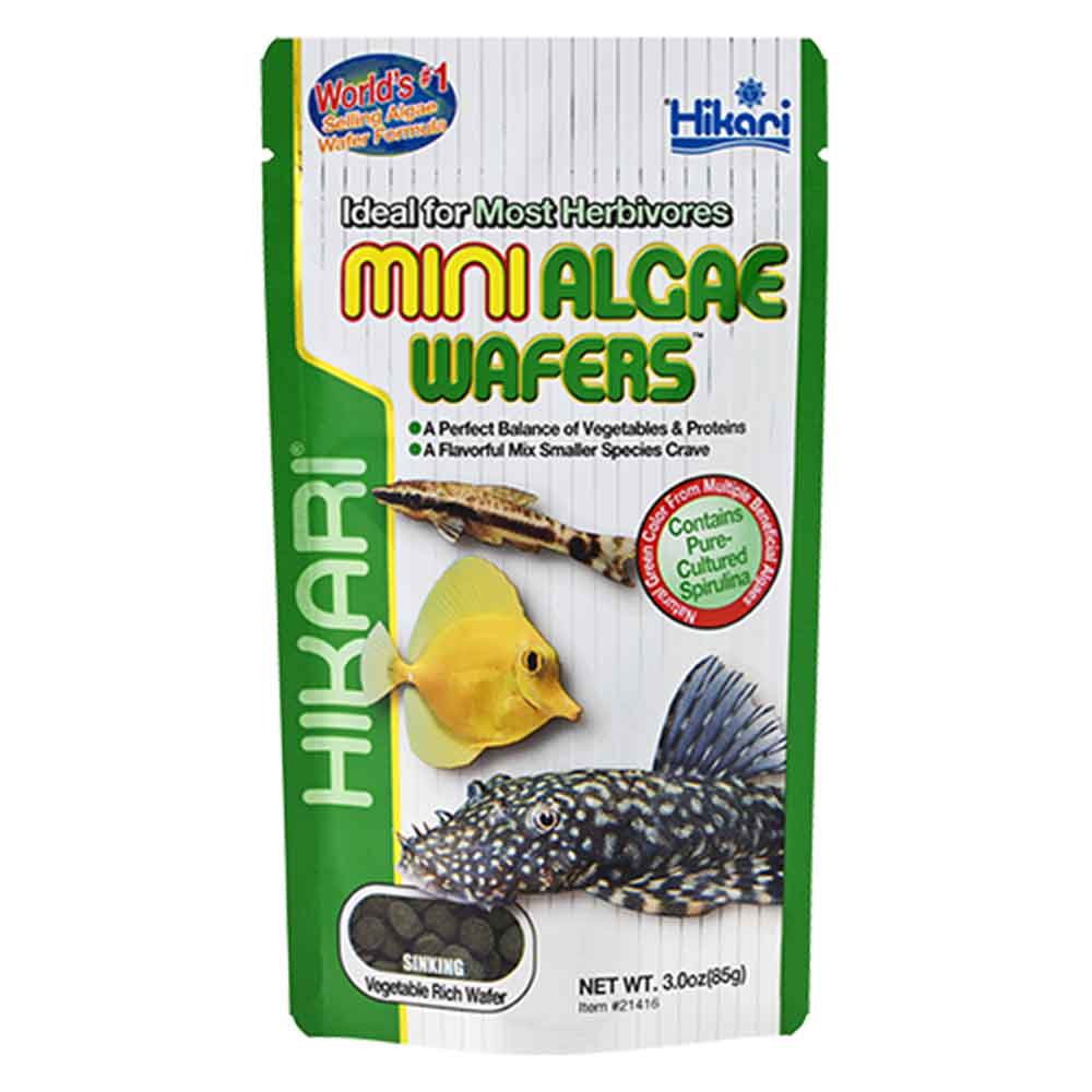 Hikari Mini Algae Wafers da fondo per Erbivori 85gr