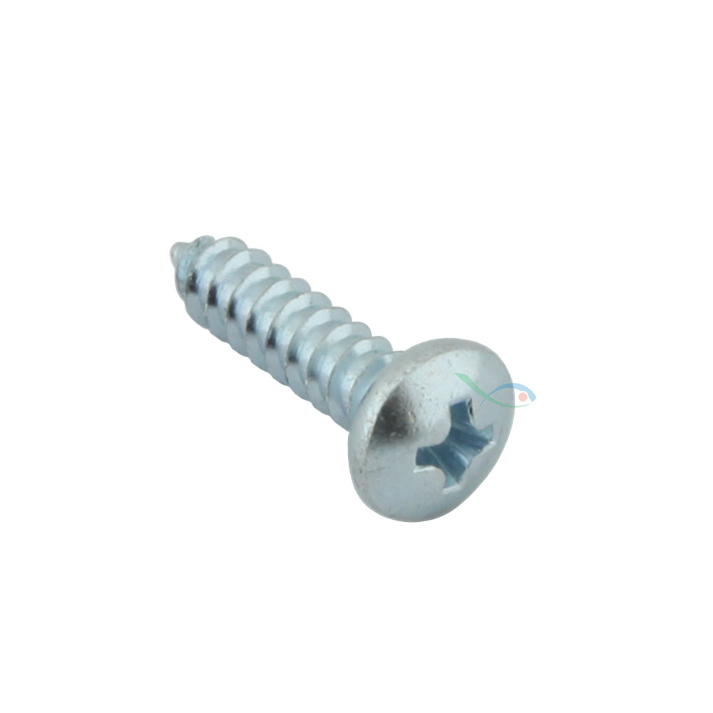 Forwater Vite in Acciaio Inox Zincatotesta piana conica 4,8X19mm