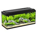 Blu Bios Acquario Magis 100 Nero 80x30x45,5h cm 95 Litri