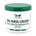 Nutrinsect Big Tarta Cricket Grilli essiccati 50gr