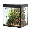 Askoll Opera 80 Acquario completo 80 litri Nero 45x40x50h cm