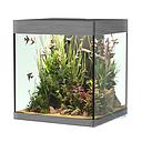 Askoll Opera 80 Acquario completo 80 litri Steel 45x40x50h cm
