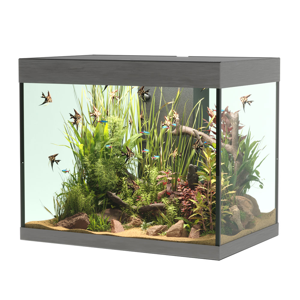 Askoll Opera 110 Acquario completo 110 litri Steel 60x40x50h cm