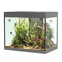 Askoll Opera 110 Acquario completo 110 litri Steel 60x40x50h cm