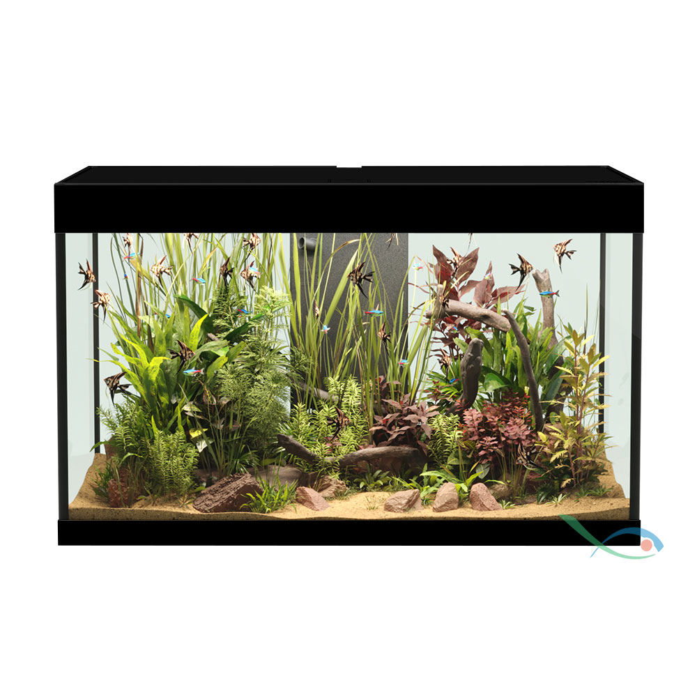 Askoll Opera 150 Acquario completo 150 litri Nero 80x40x50h cm