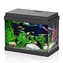 Aqpet Acquario Simply Led 30 39x22x30h cm 30 litri