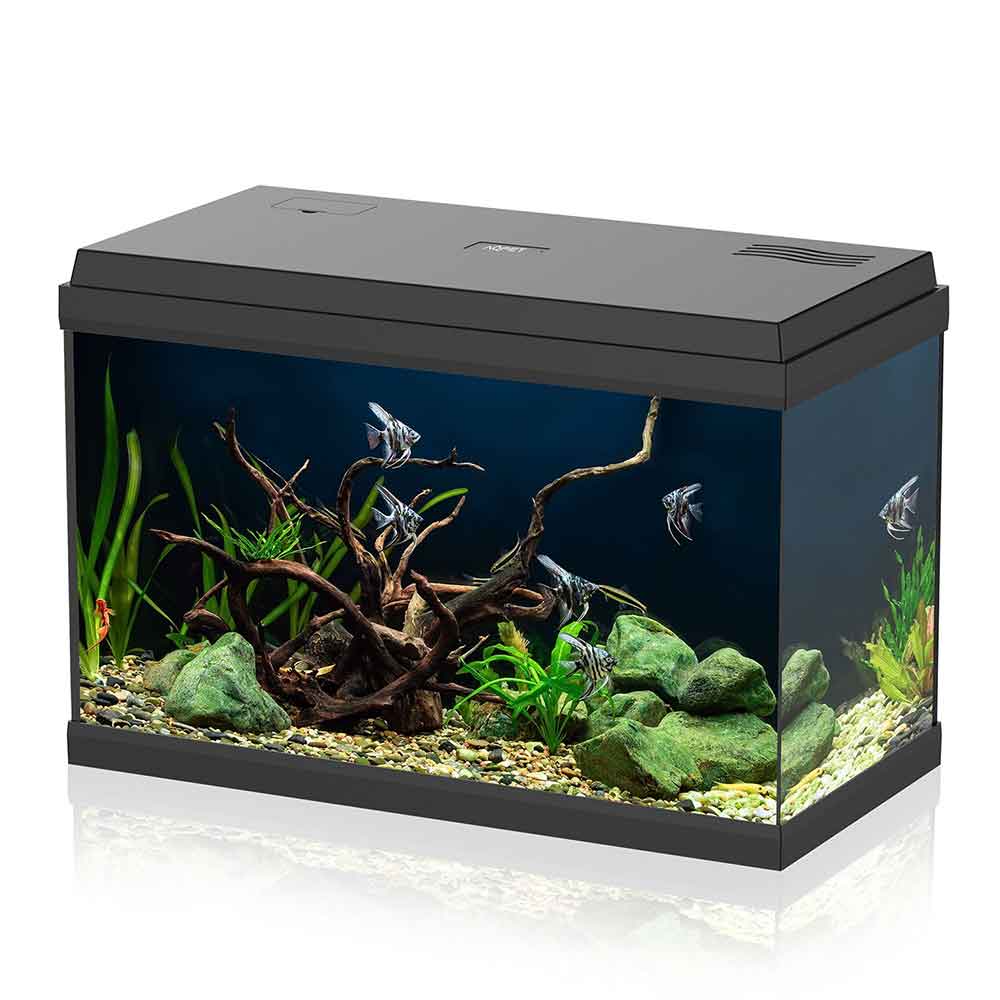 Aqpet Acquario Simply Led 60 60x30x39h cm 60 litri Nero