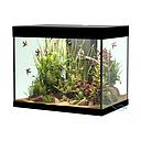 Askoll Opera 110 Acquario completo 110 litri Nero 60x40x50h cm