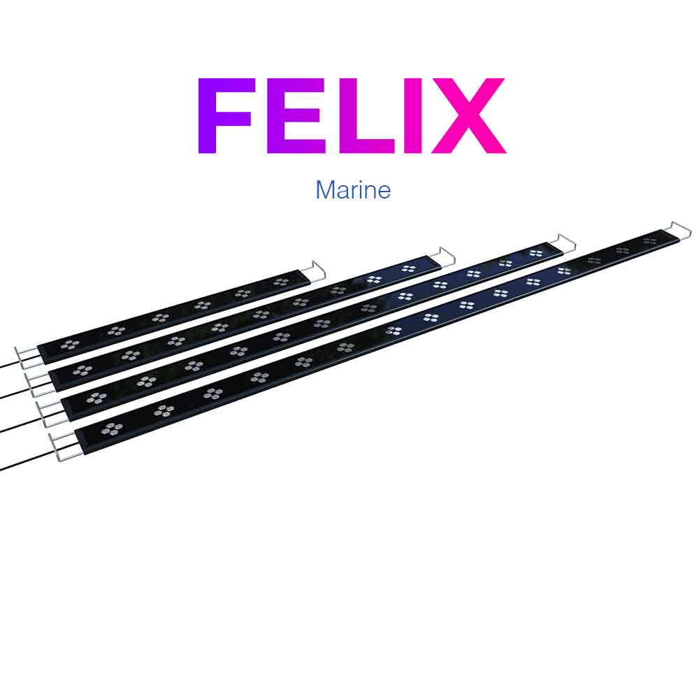 Micmol Felix 60 Marine Lampada Led Cree 30W da 60 a 80cm