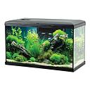 Zolux Acquario Tana 60 Nero Completo 63 Litri 60x30x35h cm