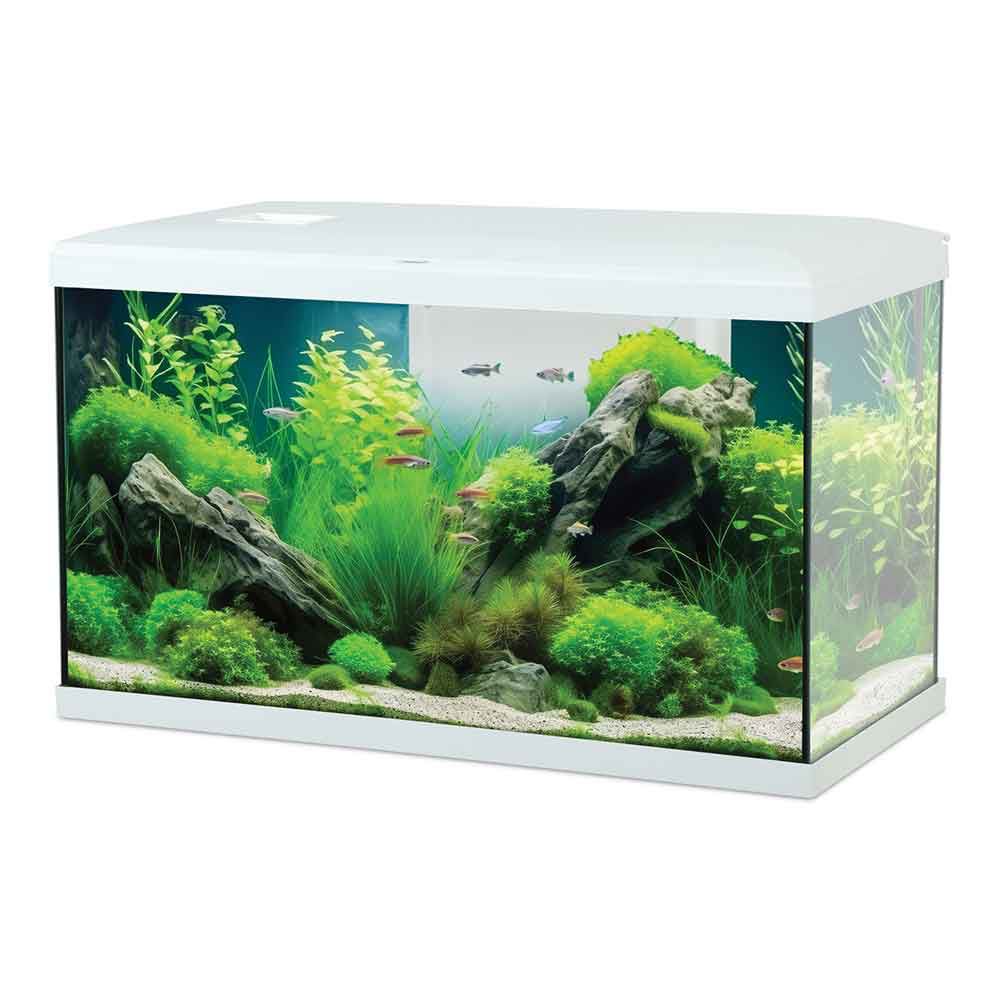 Zolux Acquario Tana 60 Bianco Completo 63 Litri 60x30x35h cm