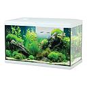 Zolux Acquario Tana 60 Bianco Completo 63 Litri 60x30x35h cm