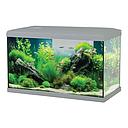 Zolux Acquario Tana 60 Grigio Completo 63 Litri 60x30x35h cm