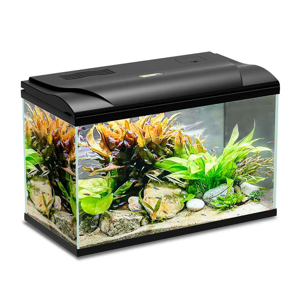 Blu Bios Acquario Magis 60 Nero 59x31x39h cm 60 Litri