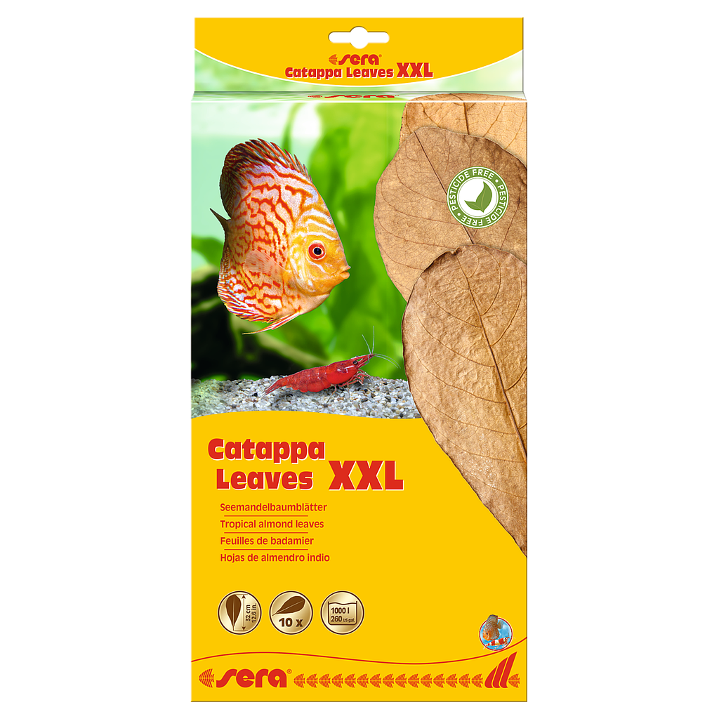 Sera Catappa Leaves Foglie di Catappa XXL 10 pezzi da 30-35cm circa per 1000l