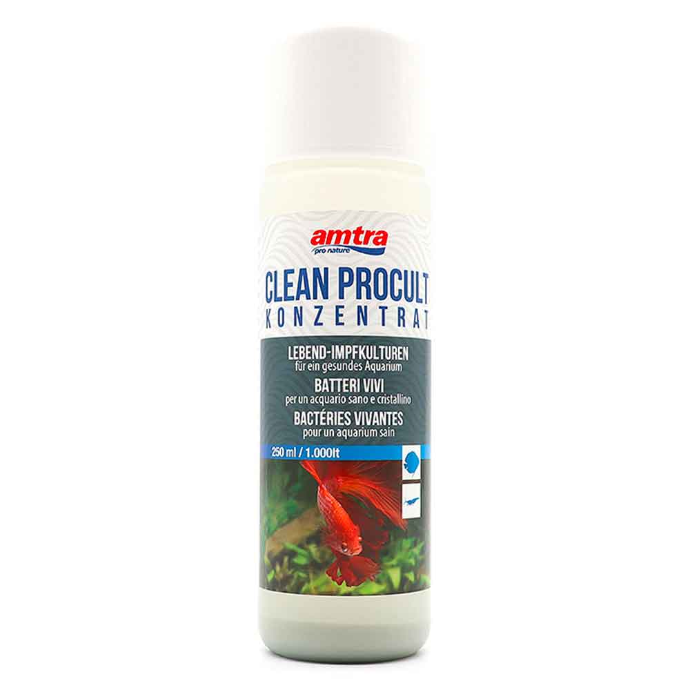 Amtra Clean Procult Koncentrat Batteri vivi Freschi 250ml per 1000Lt